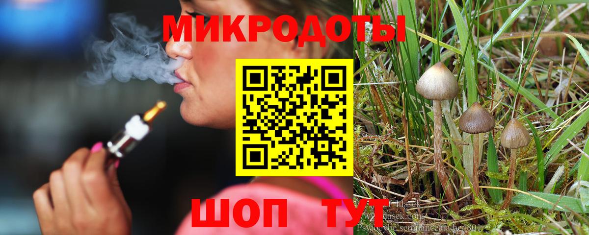 Псилоцибиновые грибы Psilocybe Унеча