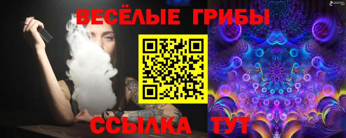 Унеча  купить наркоту  Вход с VPN  Псилоцибиновые грибы Psilocybe  Галлюциногенные грибы Magic Shrooms 
