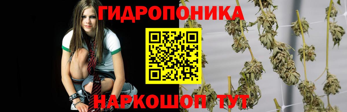 Конопля VHQ  Марихуана Bruce Banner  Вход с VPN  Унеча  Конопля тримм 